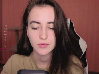 Reaiss webcam model stream image