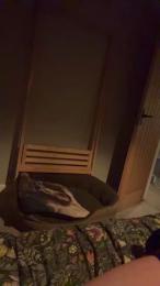 Darshall webcam model stream image