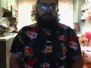 dpenguino webcam model stream image