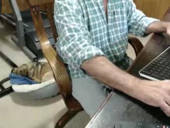 billy471 webcam model stream image