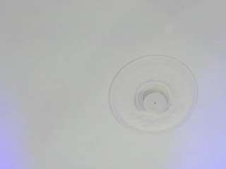 dana-haze webcam model stream image