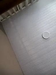 seunamoradinho7 webcam model stream image