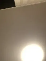 Frosl webcam model stream image