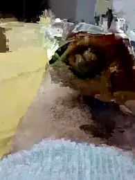 Prince_R9 webcam model stream image