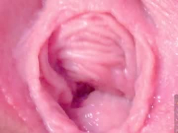 horny_moly webcam model stream image
