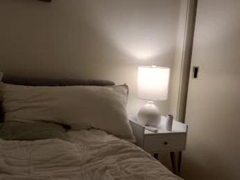 _b_h_c_ webcam model stream image