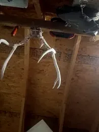 dcockell webcam model stream image