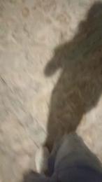 Cruising7c4nu3v webcam model stream image