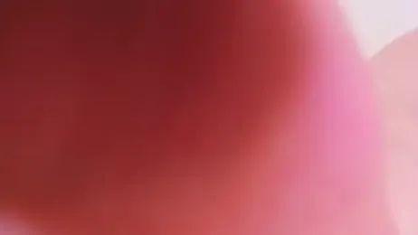 Eva_Davi webcam model stream image