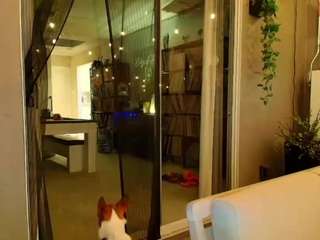 starryari69 webcam model stream image