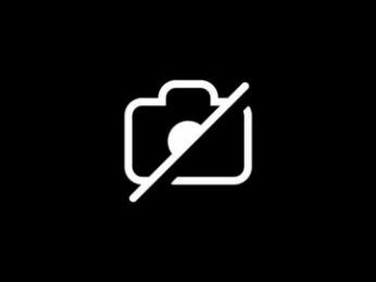 dylp400 webcam model stream image