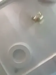 Shadilsajju webcam model stream image