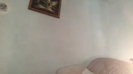 Anna-May97 webcam model stream image