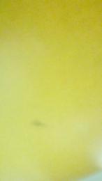 Alex_gr1986 webcam model stream image