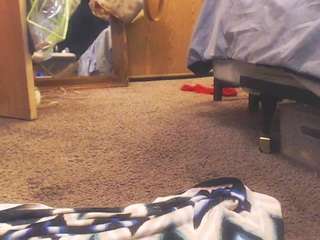 dazyup4 webcam model stream image