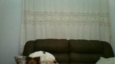 MorenoSamuel webcam model stream image