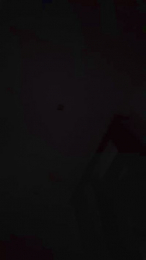 MorenoSamuel webcam model stream image