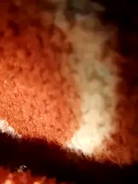 sexy__girls98 webcam model stream image