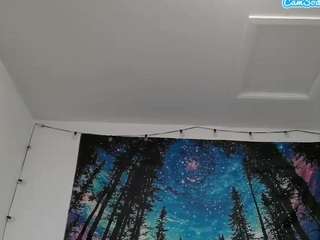 willitbegreat webcam model stream image