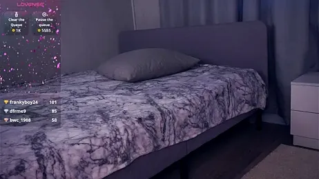 VeronaBench webcam model stream image