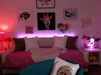 holihurricane webcam model stream image