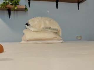 annawelk webcam model stream image