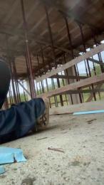 Acex922 webcam model stream image