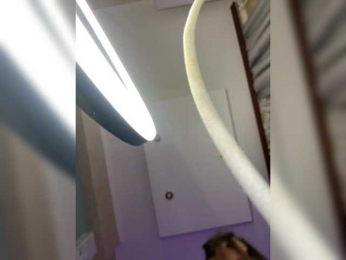 VictoriaFoxxx webcam model stream image