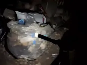 bigdickbandit44433 webcam model stream image