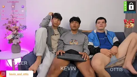 _Ottis_ webcam model stream image