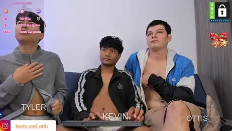 _Ottis_ webcam model stream image