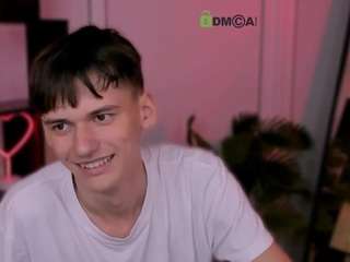 mister-vice webcam model stream image