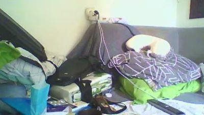 moretoxxx_hot webcam model stream image
