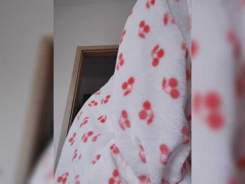 Vika211 webcam model stream image