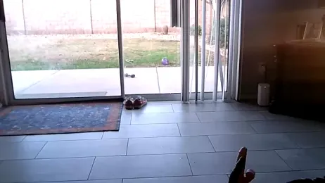 bimbopixxxie webcam model stream image