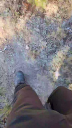 polli_play webcam model stream image