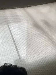 daviotaviano webcam model stream image