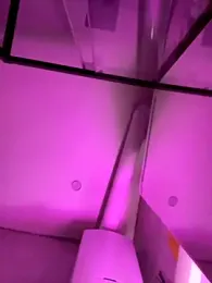 SuzieMurray webcam stripchat model stream image