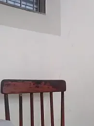 Peludo173317 webcam model stream image