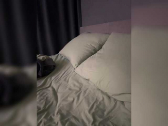 AnthoRausit webcam model stream image