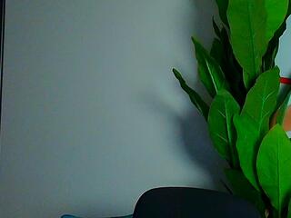 Marshall Sin webcam model stream image