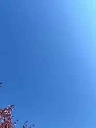 KikiWatson webcam model stream image