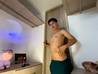 Blum_icee webcam model stream image