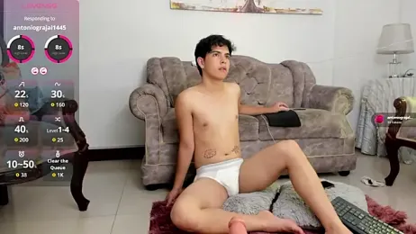 Blum_icee webcam model stream image