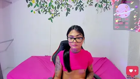 Ariadna-05 webcam model stream image