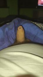 sardello_xxx webcam model stream image