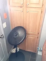 EbonyKing69 webcam stripchat model stream image