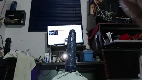 flex_cam webcam model stream image