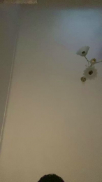 Buenooo36 webcam model stream image