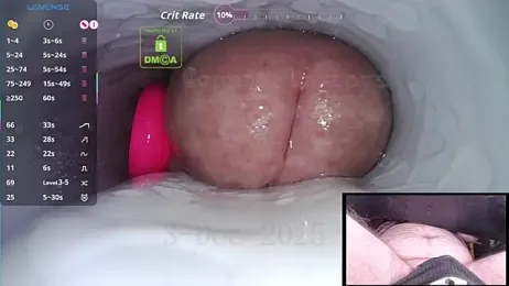 controlmytoys webcam model stream image